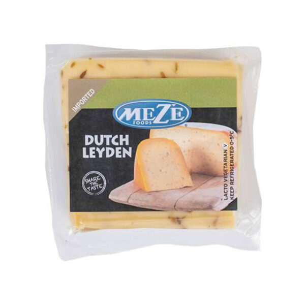 Dutch Leyden